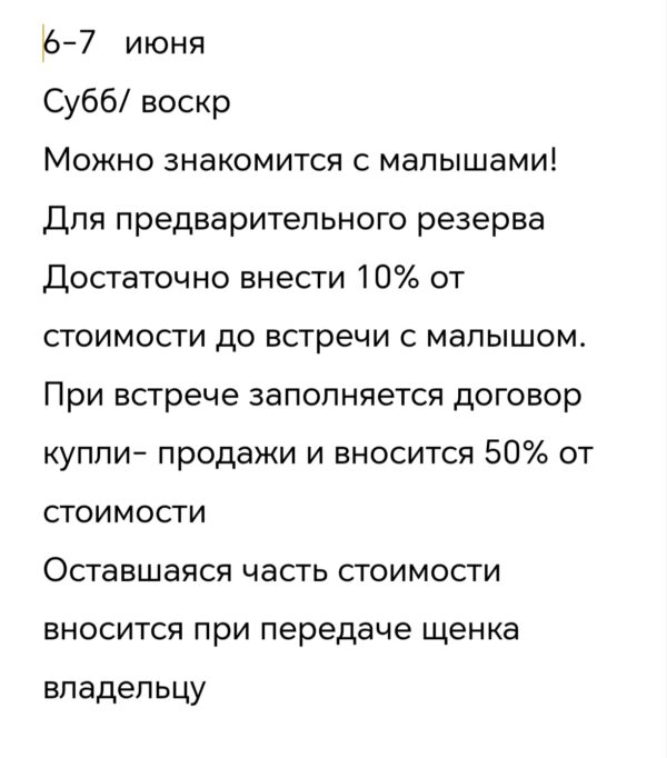 Продажа щенков чихуахуа разных окрасов: шоколадные,лиловые и др,длинношерстных и гладкошерстных